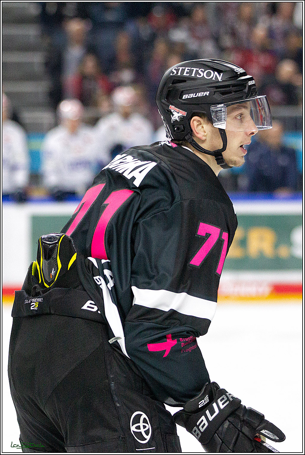 PENNY DEL;  Koelner Haie - Schwenninger Wild Wings; Koeln, 08.10.2021